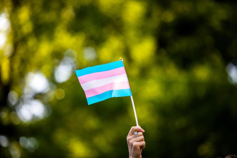 BILD.de – „Das Transsexuellengesetz gehört geändert“ – Am 31. März ist internationaler Tag der Trans-Sichtbarkeit